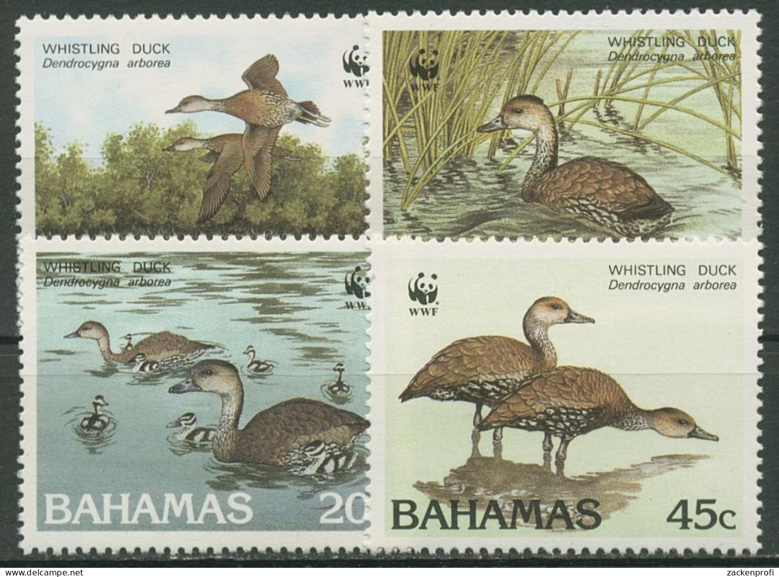 Bahamas 1988 WWF Tierschutz Gänse Pfeifgans 672/75 Postfrisch - Bahamas (1973-...)