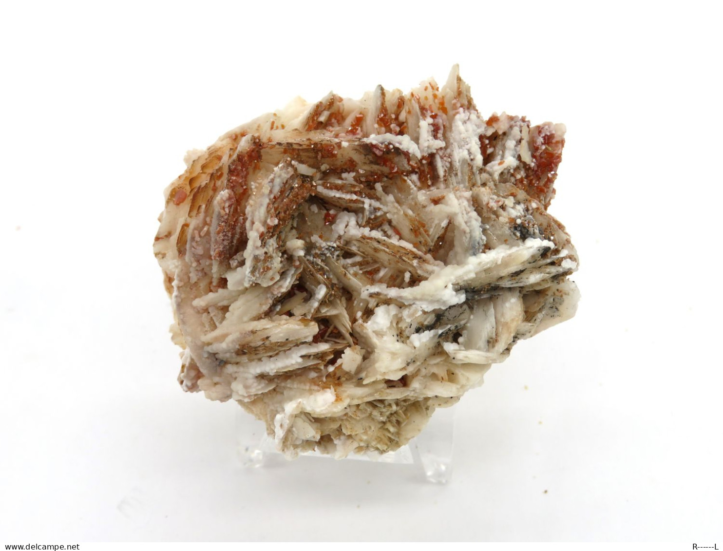 Minéraux Vanadinite Sur Barytine - Minéraux