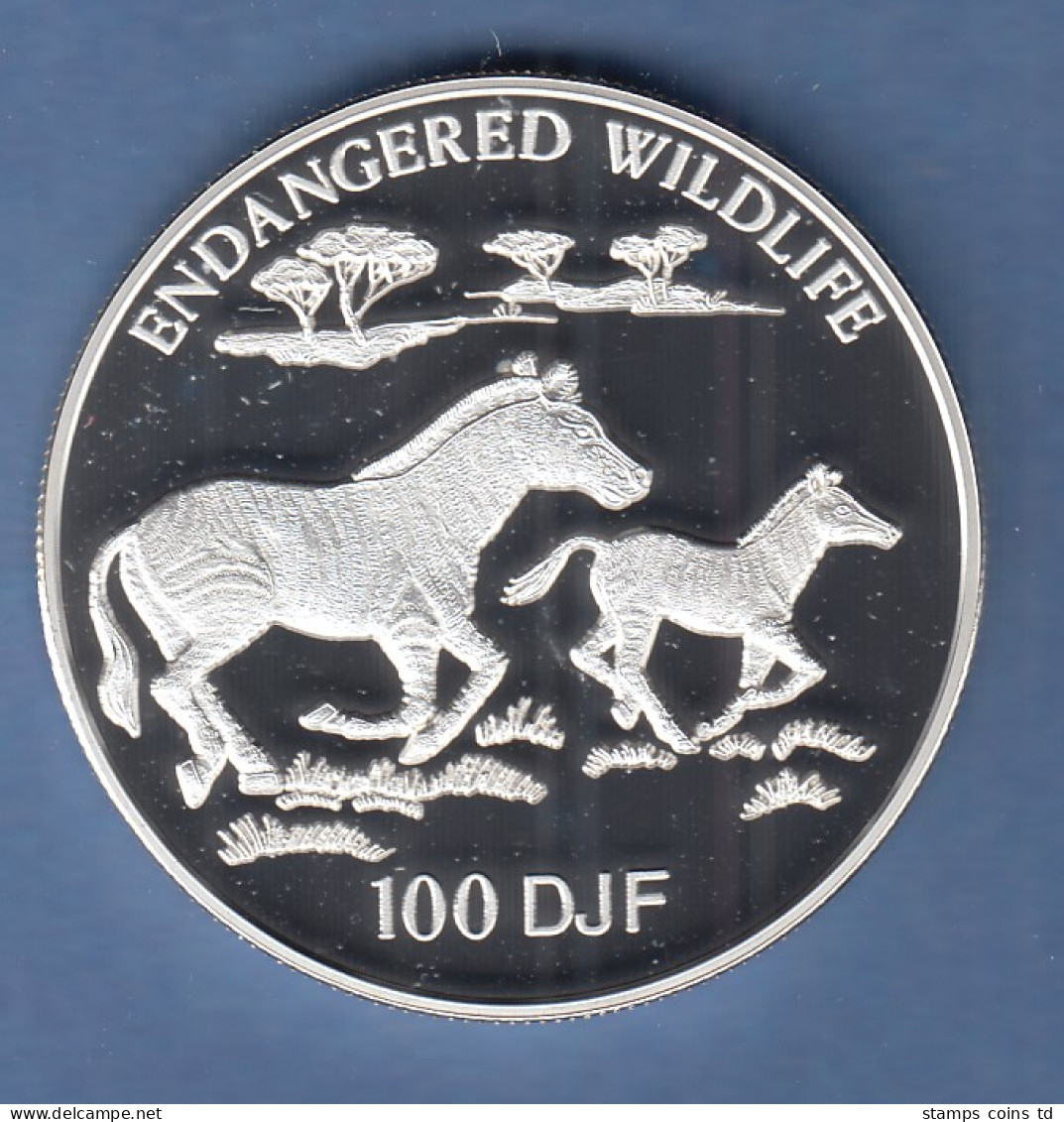 Djibouti 1994 Silbermünze ENDANGERED WILDLIFE Zebras 100 DJF PP - Autres – Afrique