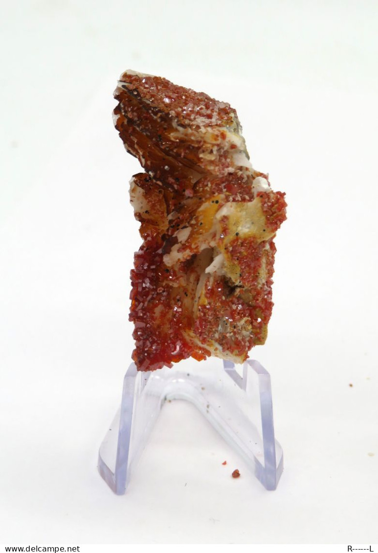 Minéraux Vanadinite Sur Barytine - Minerals