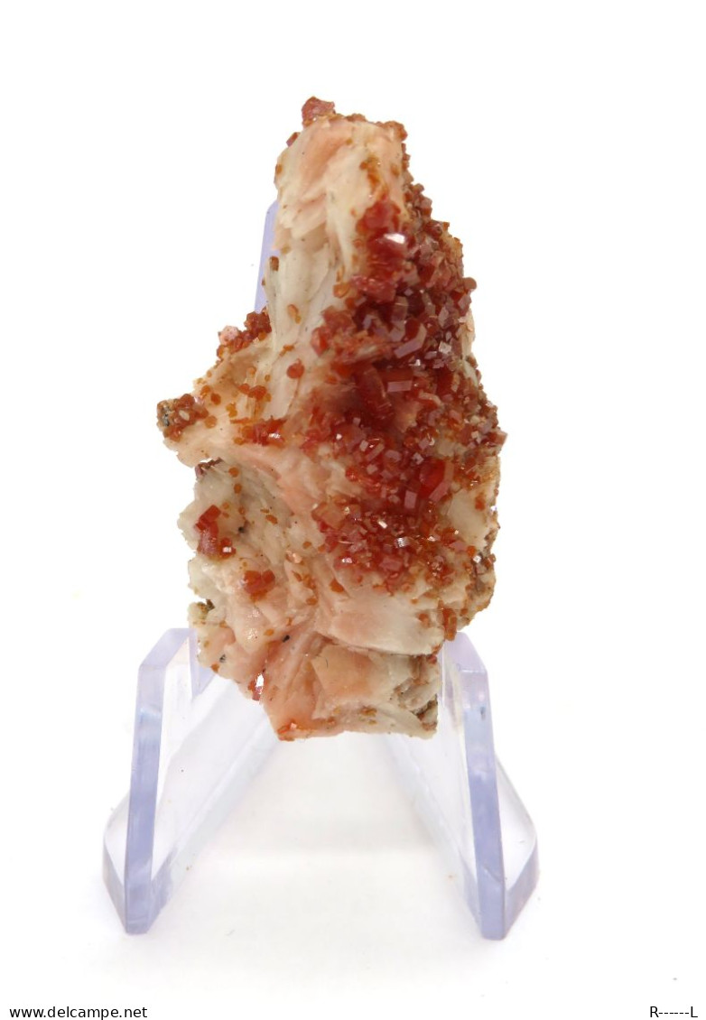 Minéraux Vanadinite Sur Barytine - Minerales