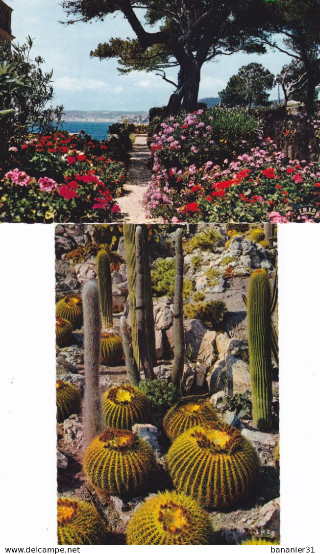 CPA MONACO - 2 Cartes Postales Jardin Exotique Cactus Cactées Et Fleurs - Giardino Esotico