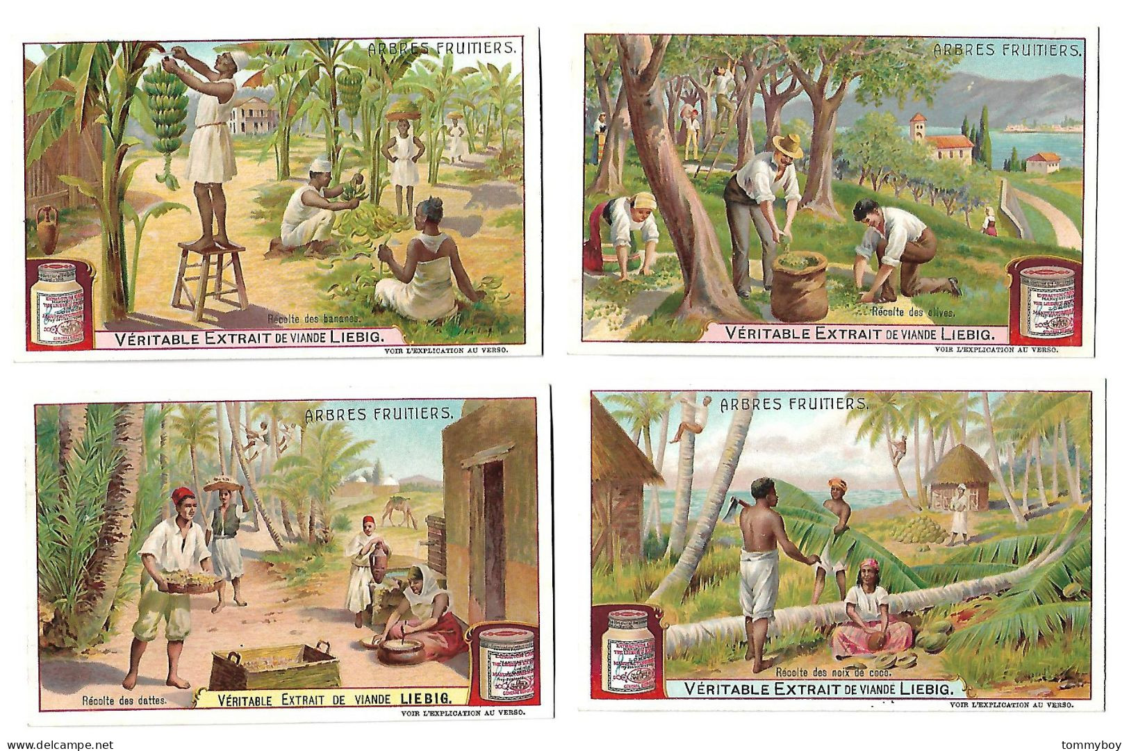 S 878, Liebig 6 Cards, Arbres Fruitiers - Liebig