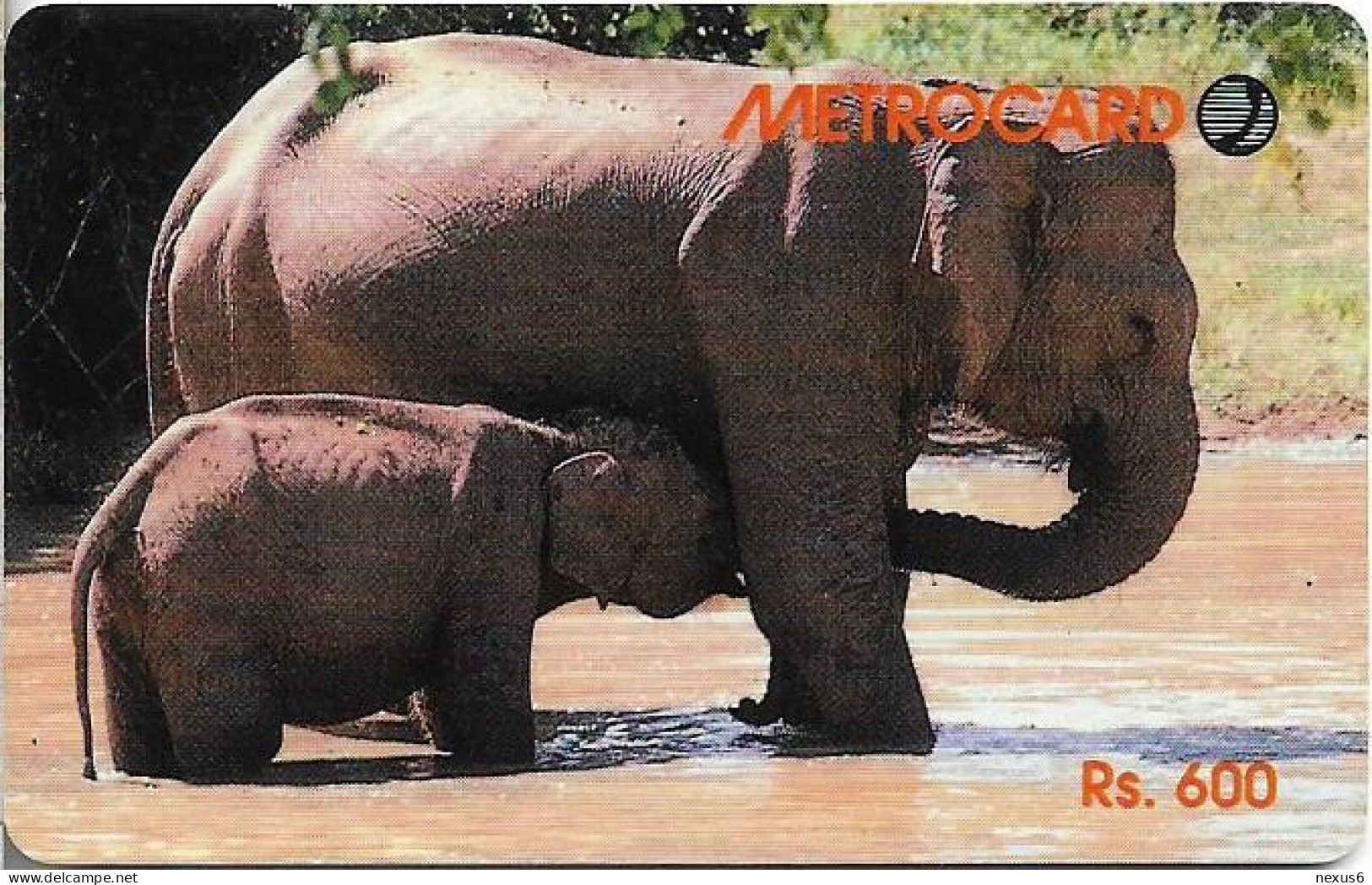 Sri Lanka - Metrocard (Chip) - Two Elephants Bathing, SC7, 600Rs, Used - Sri Lanka (Ceilán)