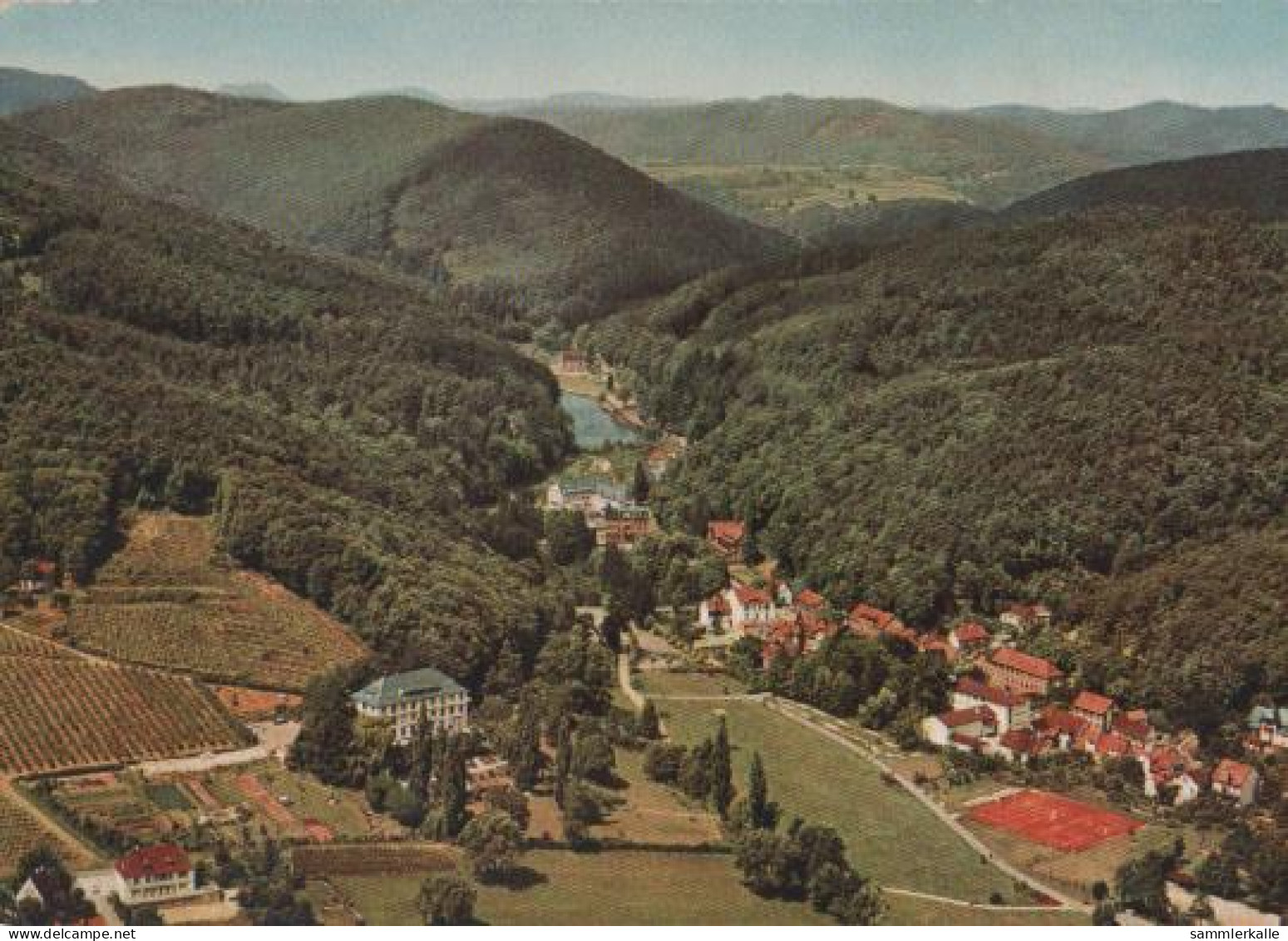 14532 - Bad Bergzabern - Bergzabern Kurtal - Luftbild - 1964 - Bad Bergzabern