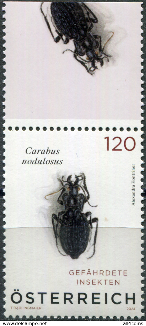 Austria 2024. Black Pit Beetle (Carabus Nodulosus) (IV) (MNH OG) Stamp - Nuovi