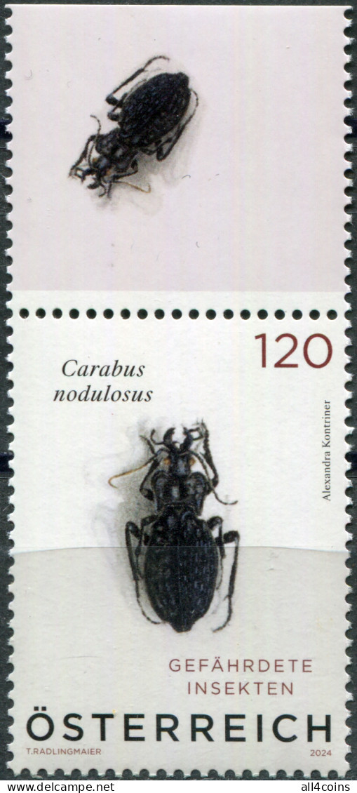 Austria 2024. Black Pit Beetle (Carabus Nodulosus) (I) (MNH OG) Stamp - Ungebraucht