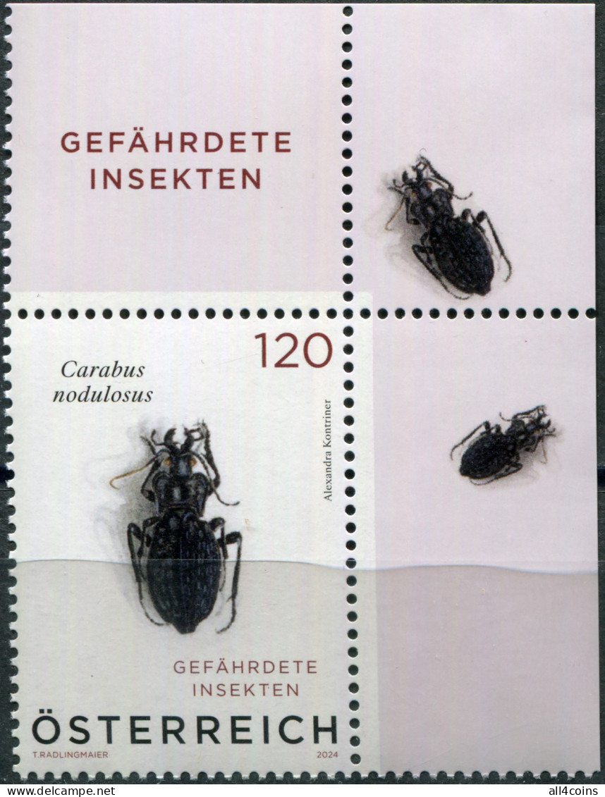 Austria 2024. Black Pit Beetle (Carabus Nodulosus) (VIII) (MNH OG) Stamp - Unused Stamps