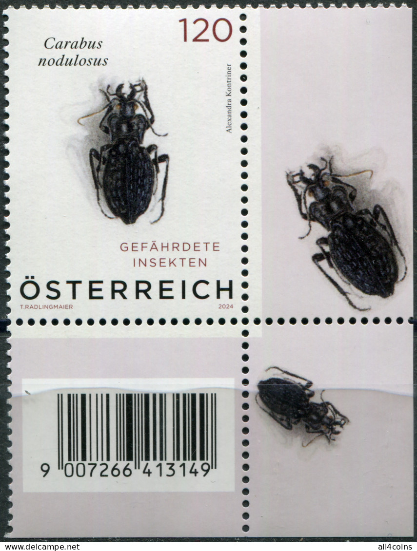 Austria 2024. Black Pit Beetle (Carabus Nodulosus) (VII) (MNH OG) Stamp - Neufs