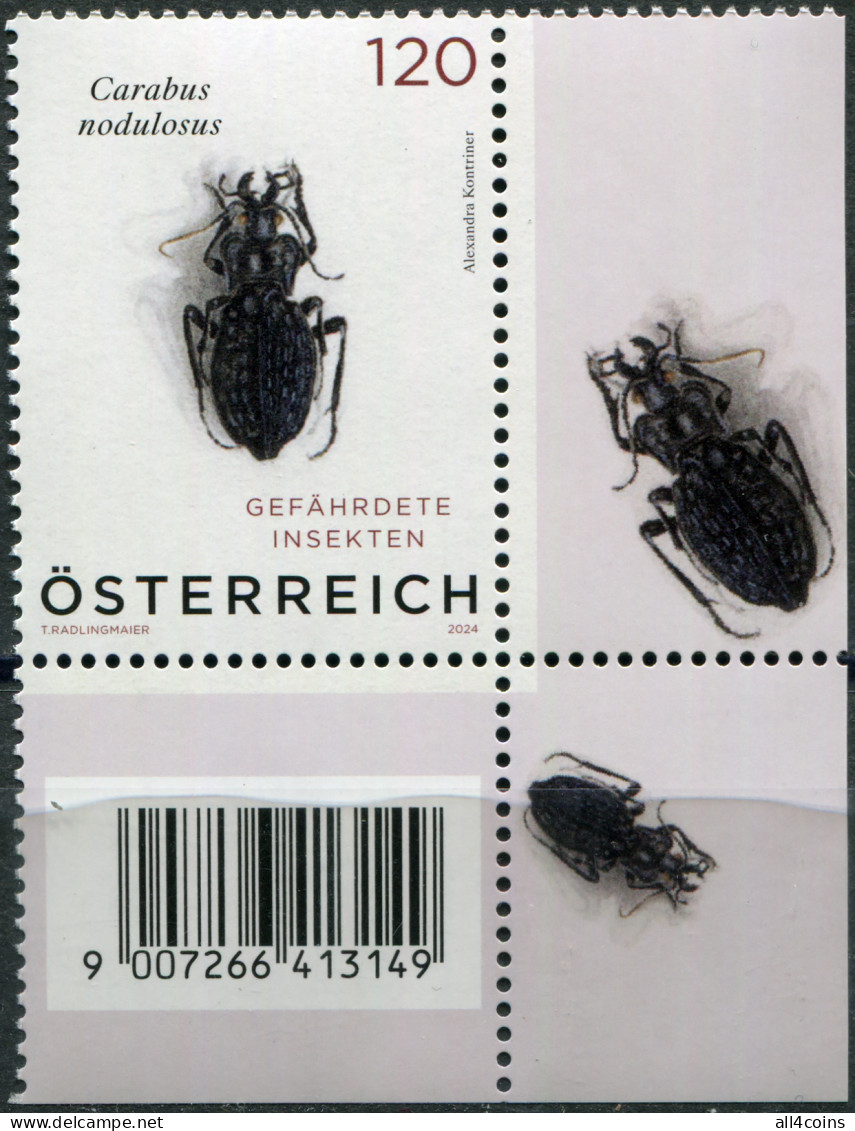 Austria 2024. Black Pit Beetle (Carabus Nodulosus) (VII) (MNH OG) Stamp - Unused Stamps