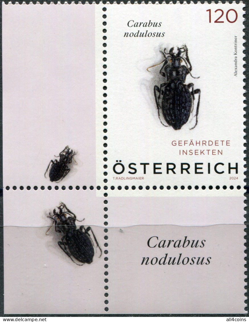 Austria 2024. Black Pit Beetle (Carabus Nodulosus) (III) (MNH OG) Stamp - Unused Stamps
