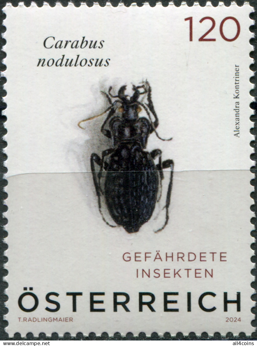 Austria 2024. Black Pit Beetle (Carabus Nodulosus) (MNH OG) Stamp - Neufs