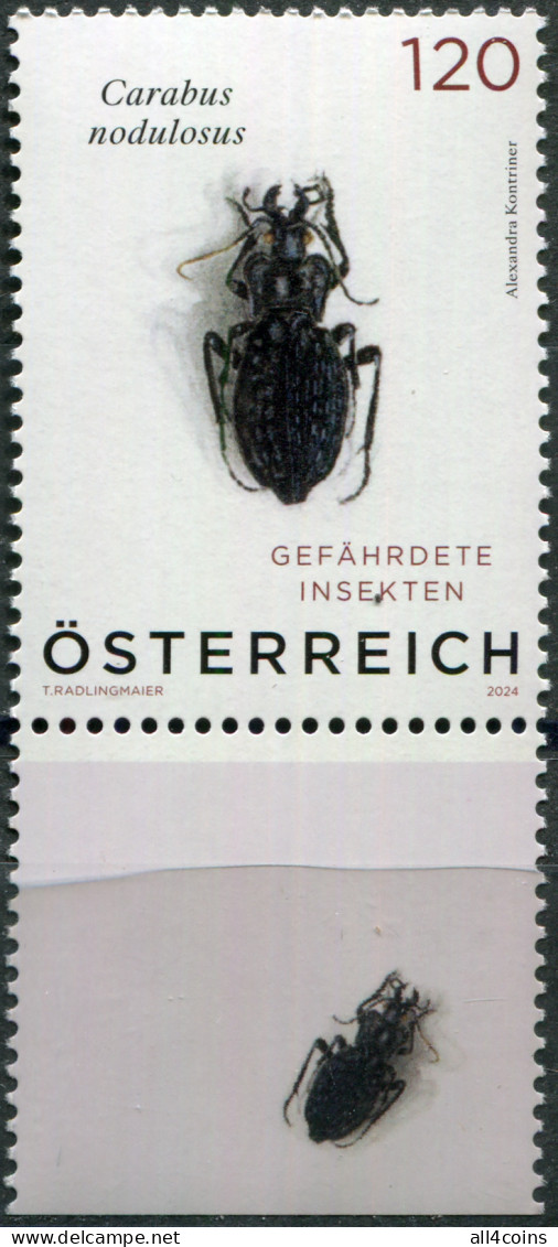 Austria 2024. Black Pit Beetle (Carabus Nodulosus) (VI) (MNH OG) Stamp - Unused Stamps