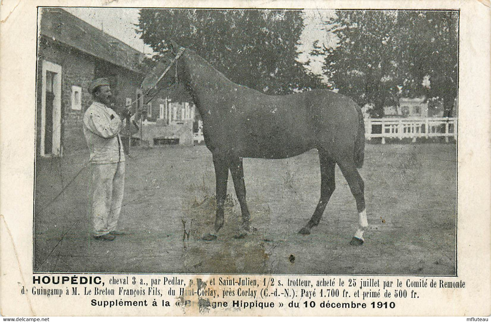 22* GUINGAMP  « HOUPDIC »  Cheval De 3 Ans -  RL20,0428 - Bauernhöfe