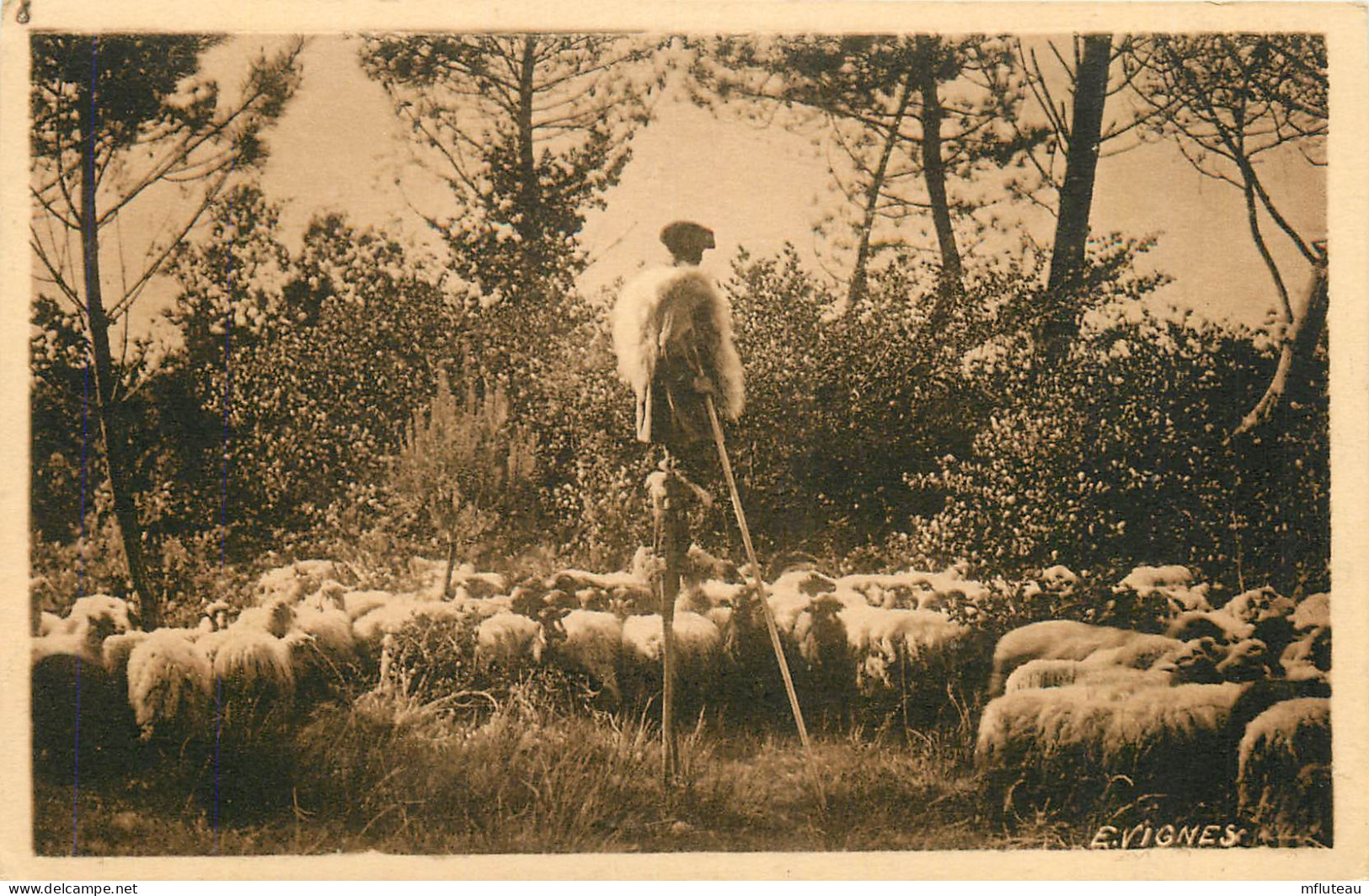 40* LANDES   Echassier  Gardant Ses Moutons  RL20,1600 - Viehzucht