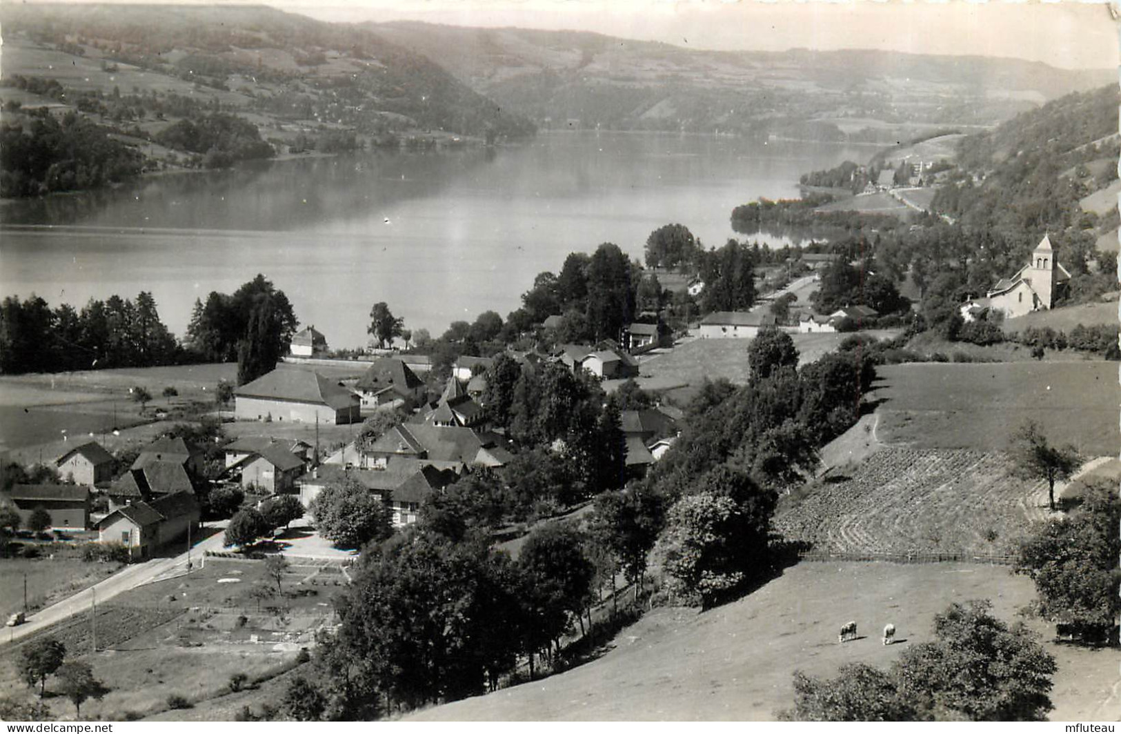 38* PALADRU LES BAINS  Vue Generale    (CPSM 9x14cm)  RL20,1538 - Paladru