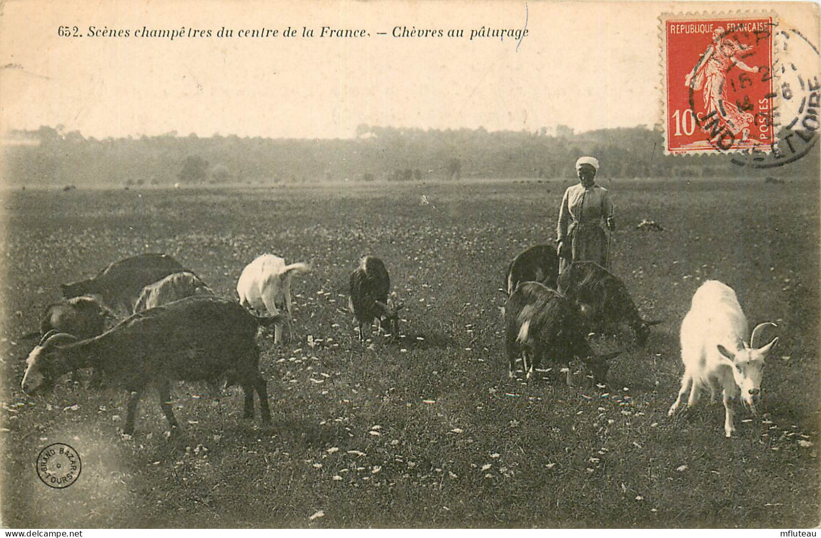 37* TOURAINE  Chevres Au Paturage   RL20,1479 - Elevage