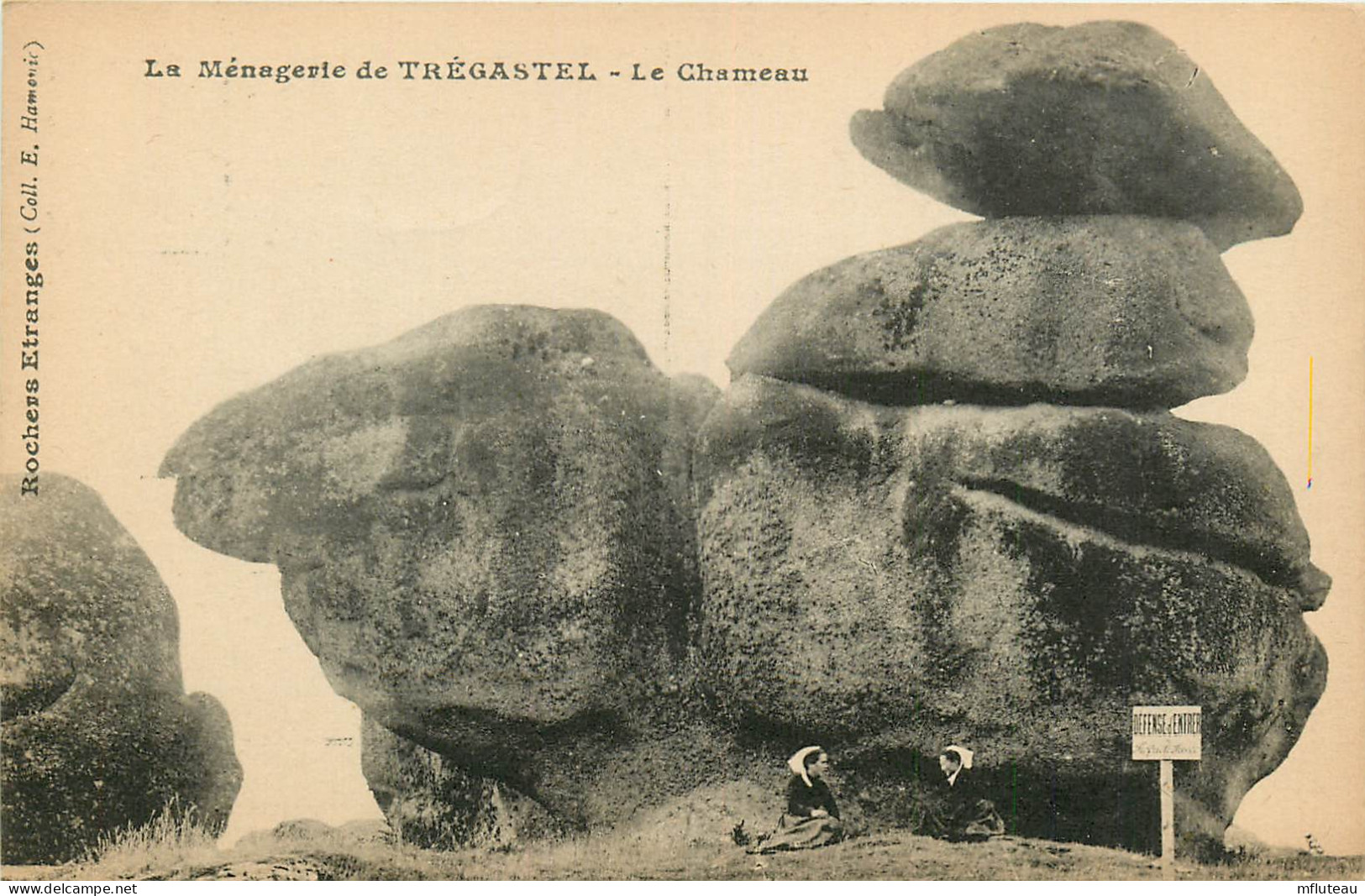 22* TREGASTEL  Rochers – Le Chameau     RL22,1458 - Trégastel