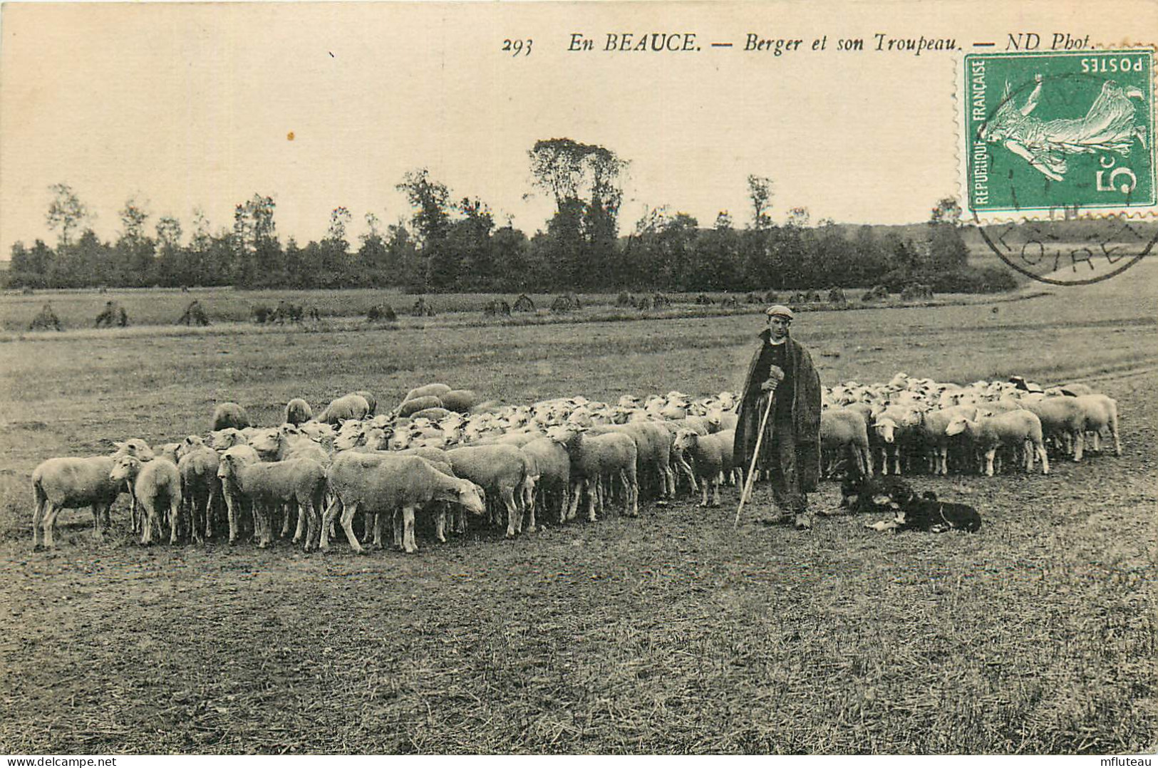 28* BEAUCE  Berger Et Son Troupeau       RL22,2191 - Crías