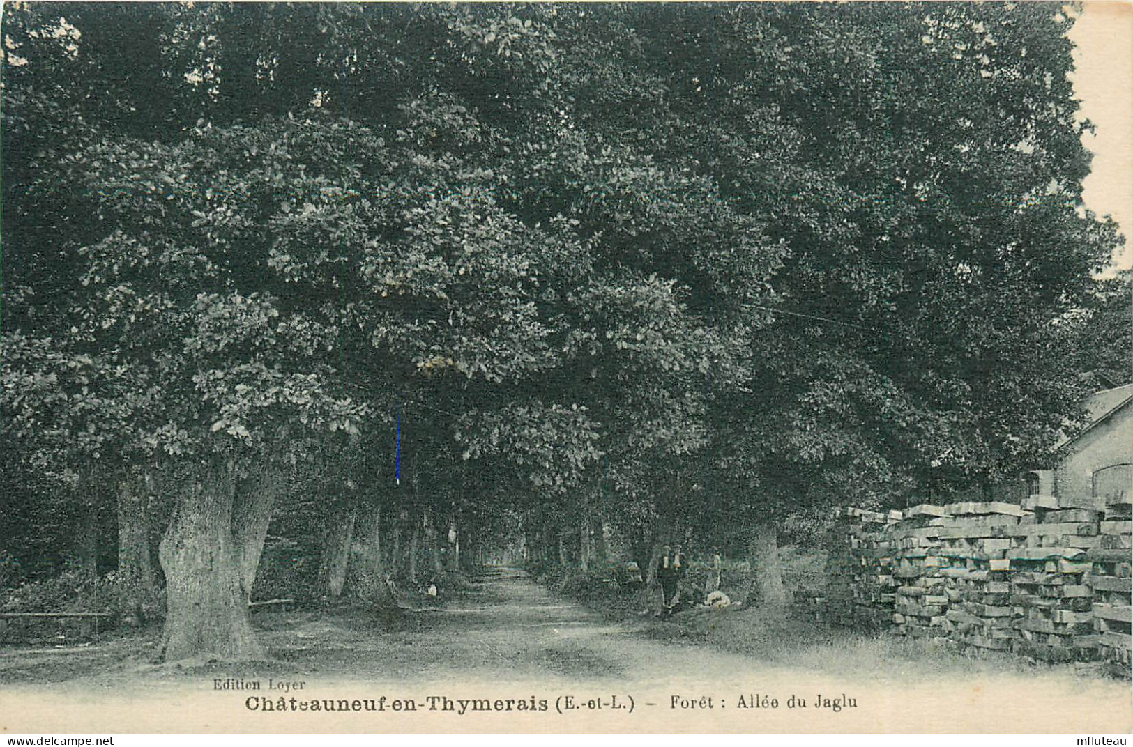 28* CHATEAUNEUF EN THIMERAIS   En Foret – Allee Du Jaglu    RL22,2157 - Châteauneuf