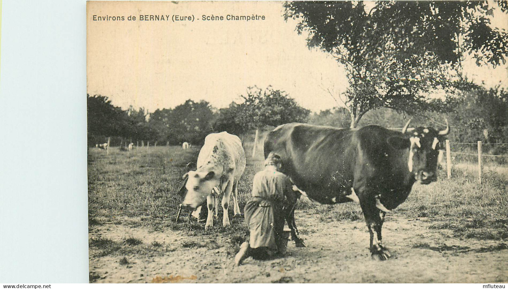 27* BERNAY (environs)   Traite D'une Vache   RL22,2031 - Viehzucht