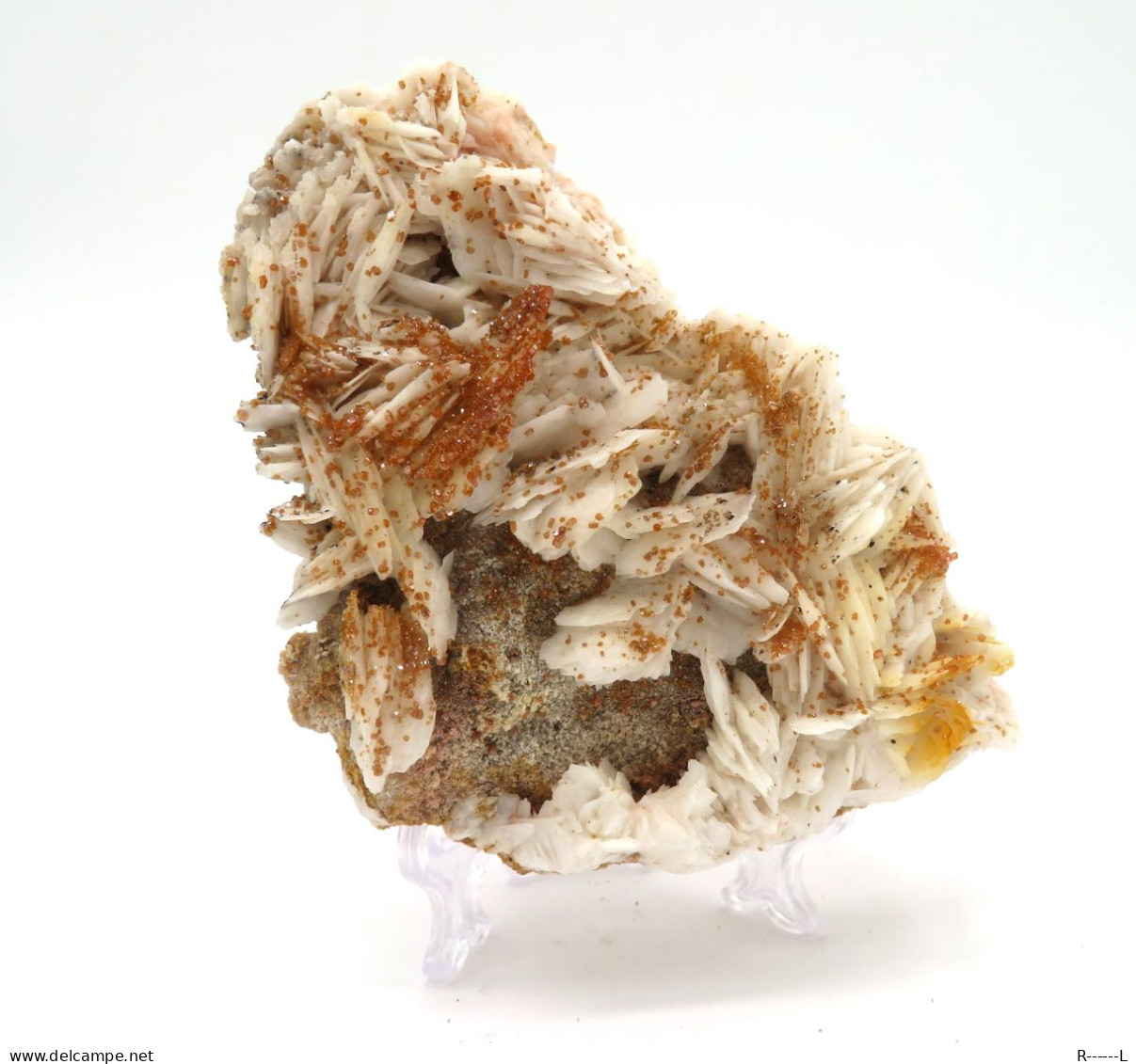 Minéraux Vanadinite Sur Barytine - Minerales