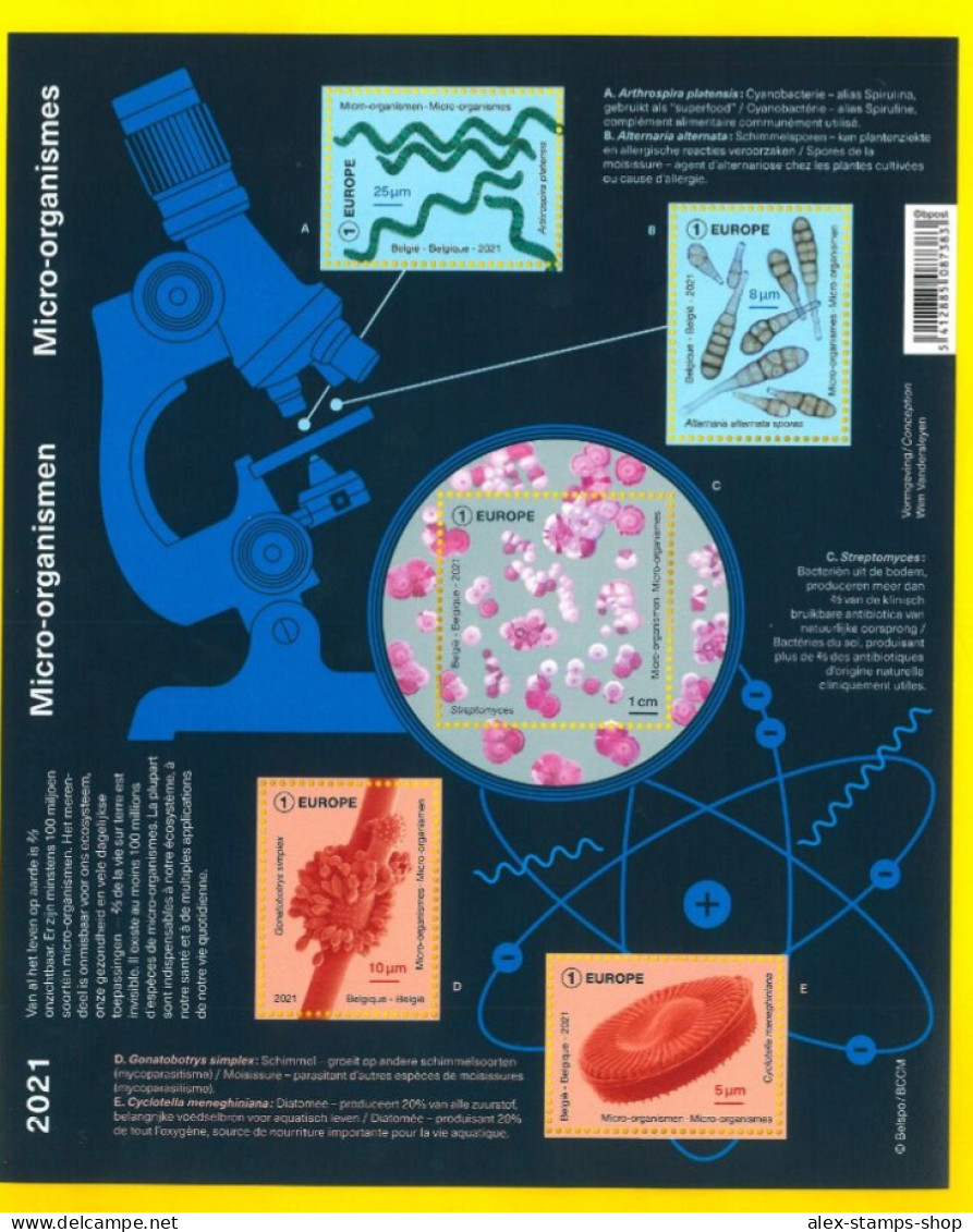 BELGIUM 2021 Micro-organisms - Miniature Sheet - 2021-…