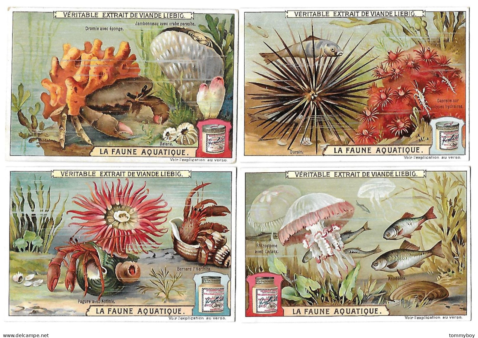 S 926, Liebig 6 Cards, La Faune Aquatique - Liebig