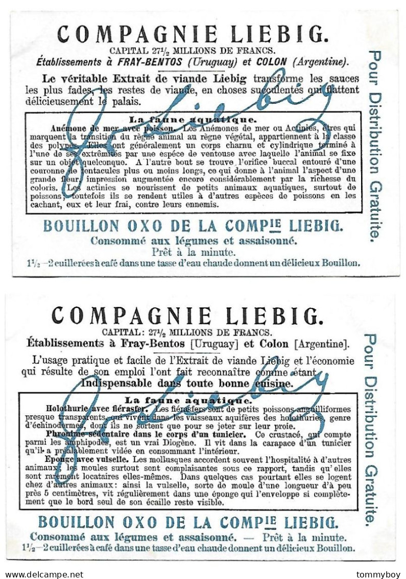 S 926, Liebig 6 Cards, La Faune Aquatique - Liebig