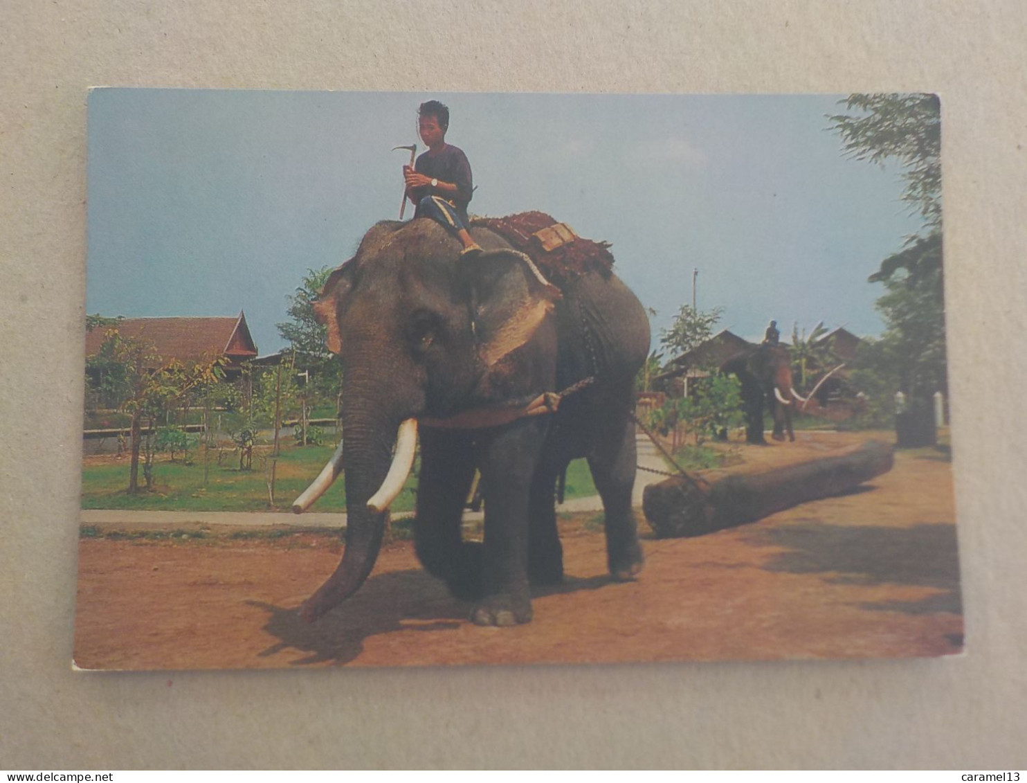 CPSM -  AU PLUS RAPIDE - THAILANDE -  THAI ELEPHANT PULLING THE TEAK LOG  -  VOYAGEE NON TIMBREE - FORMAT CPA - Thaïland