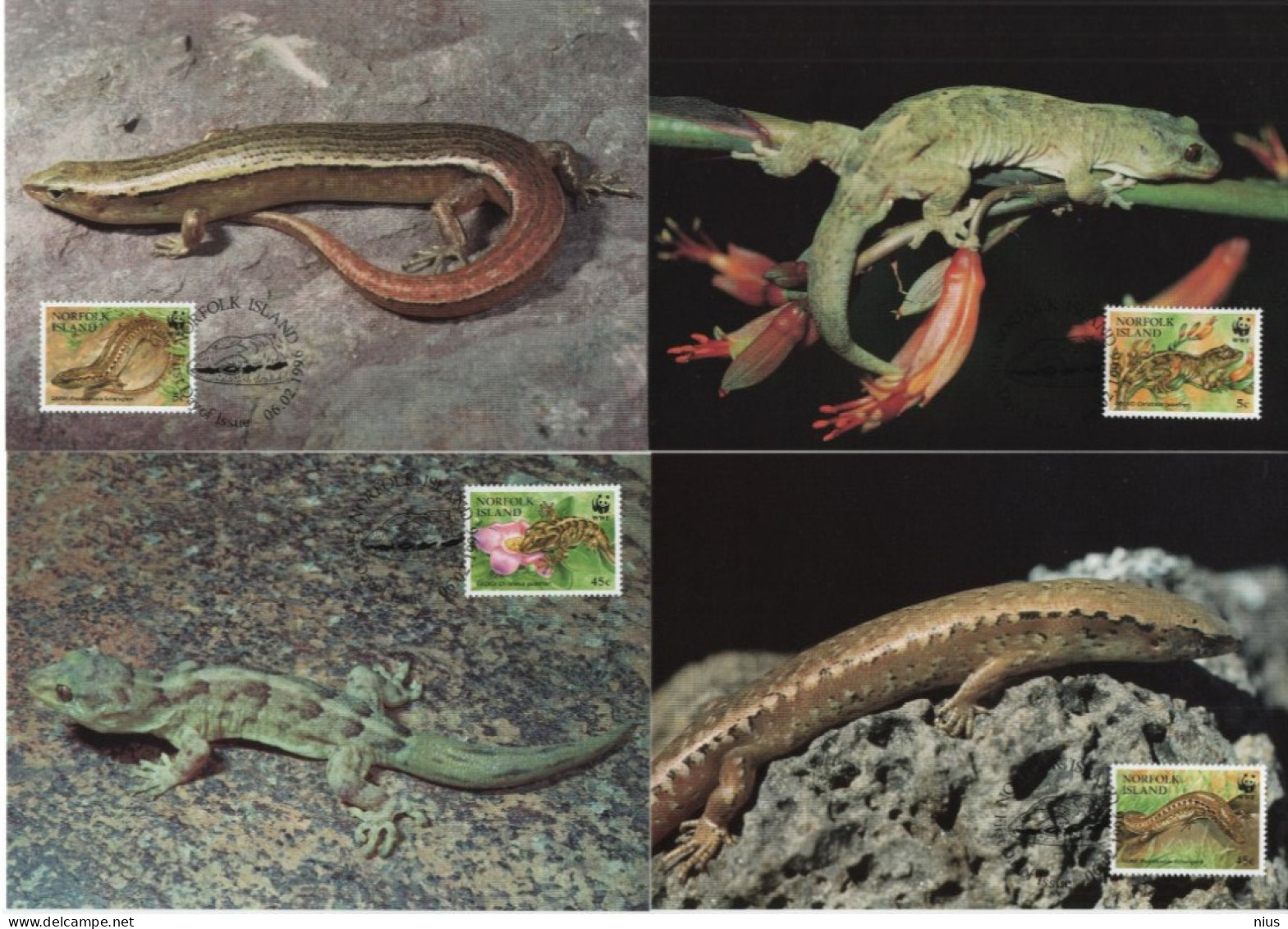 Norfolk Island 1996 Maximum Cards Set X4 WWF W. W. F. Lord-Howe-Insel-Blattfingergecko, Christinus Guentheri, Lizard - Cartes-maximum