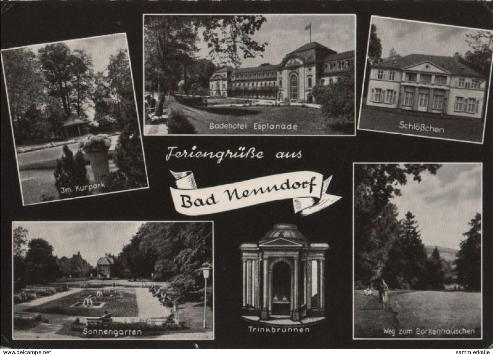 83300 - Bad Nenndorf - U.a. Sonnengarten - 1960 - Bad Nenndorf