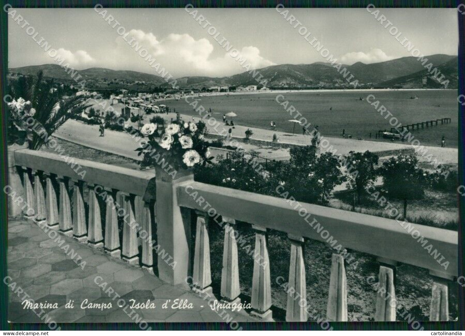 Livorno Isola D'Elba Marina Di Campo Foto FG Cartolina ZK5455 - Livorno