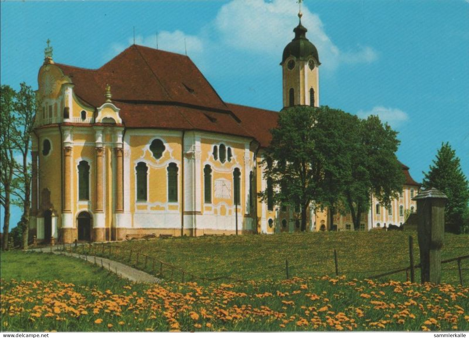 119931 - Steingaden-Wieskirche - Blumenwiese - Weilheim