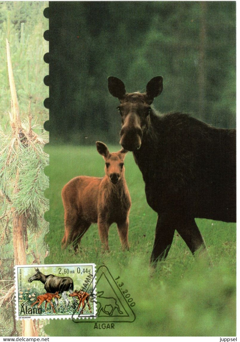 Picture Postcard  ALAND,  Elk    /  ALAND Carte Postale,   L élan    2000 - Gibier