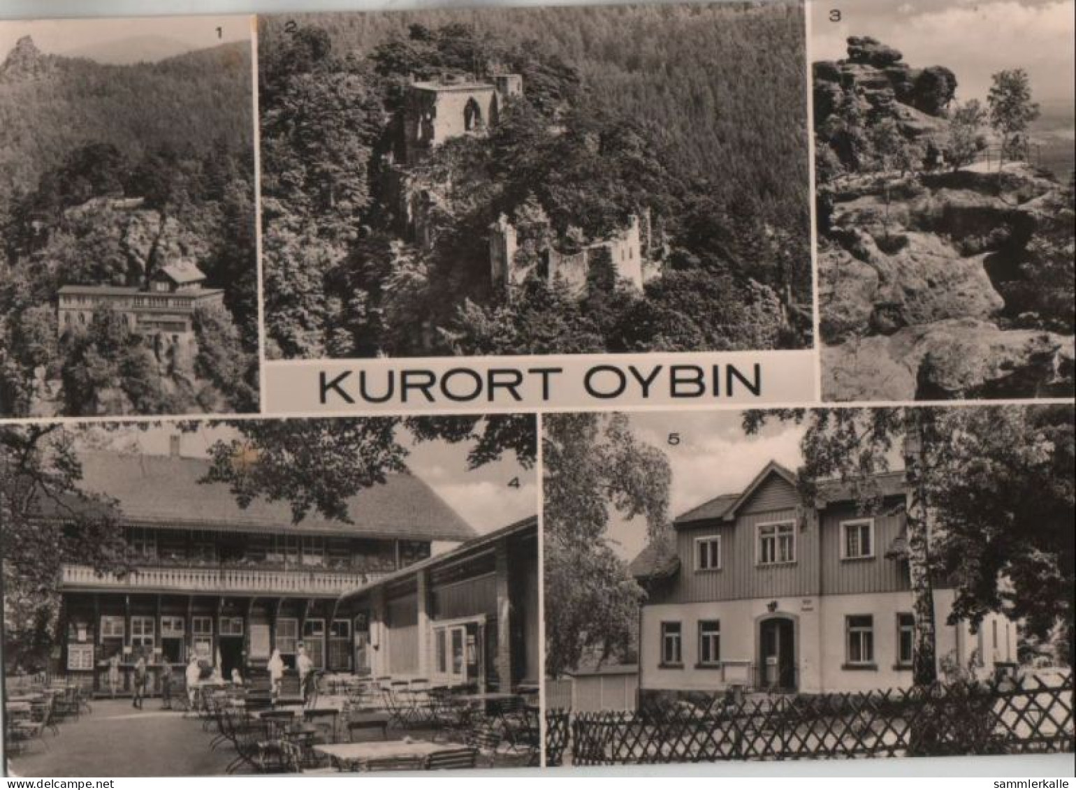 79391 - Kurort Oybin - U.a. Auf Dem Töpfer - 1975 - Oybin