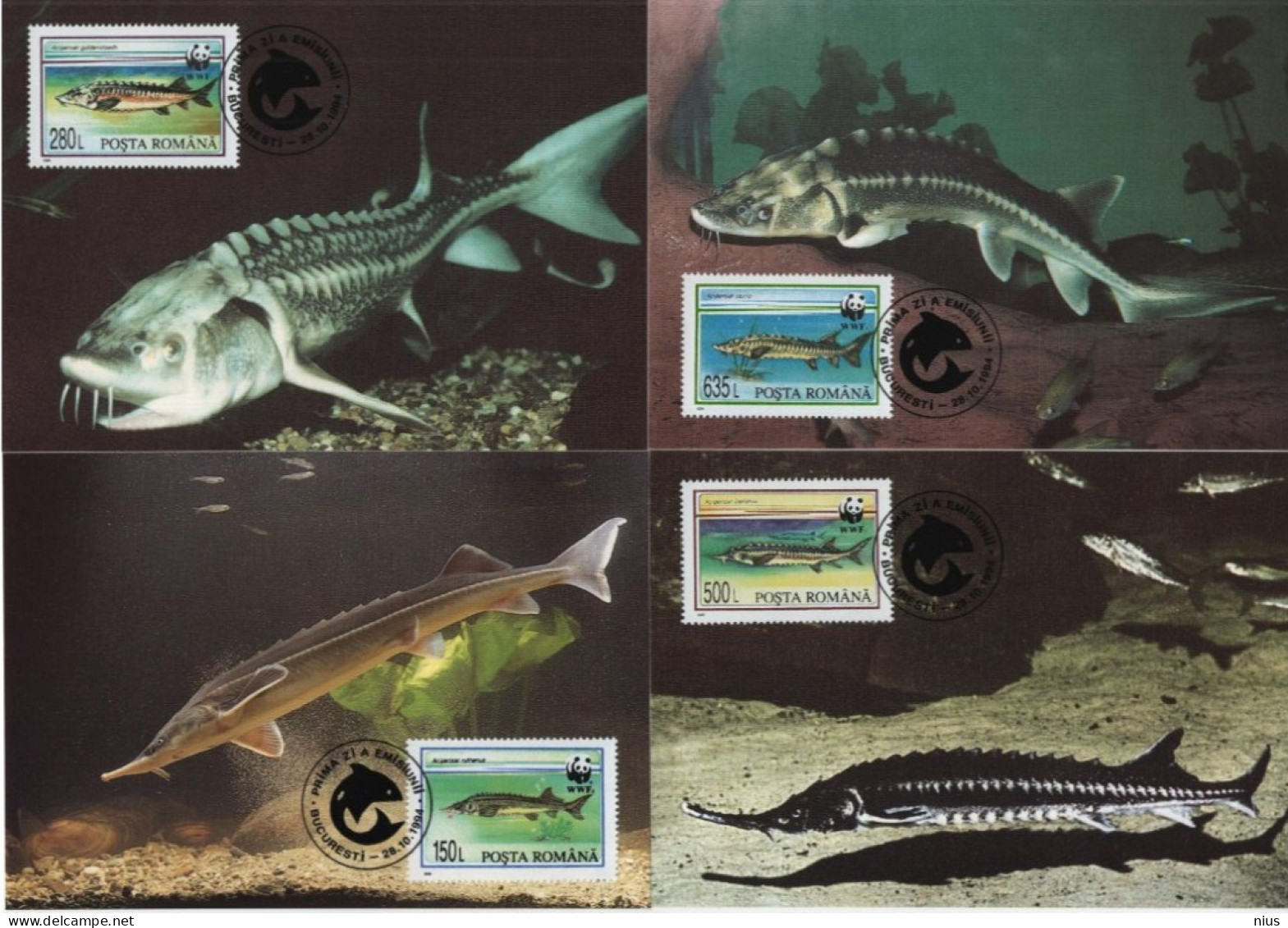 Romana Romania 1994 Fish Fishes Fisch Fische Fauna Acipenser Sturgeon Störe - Maximum Cards