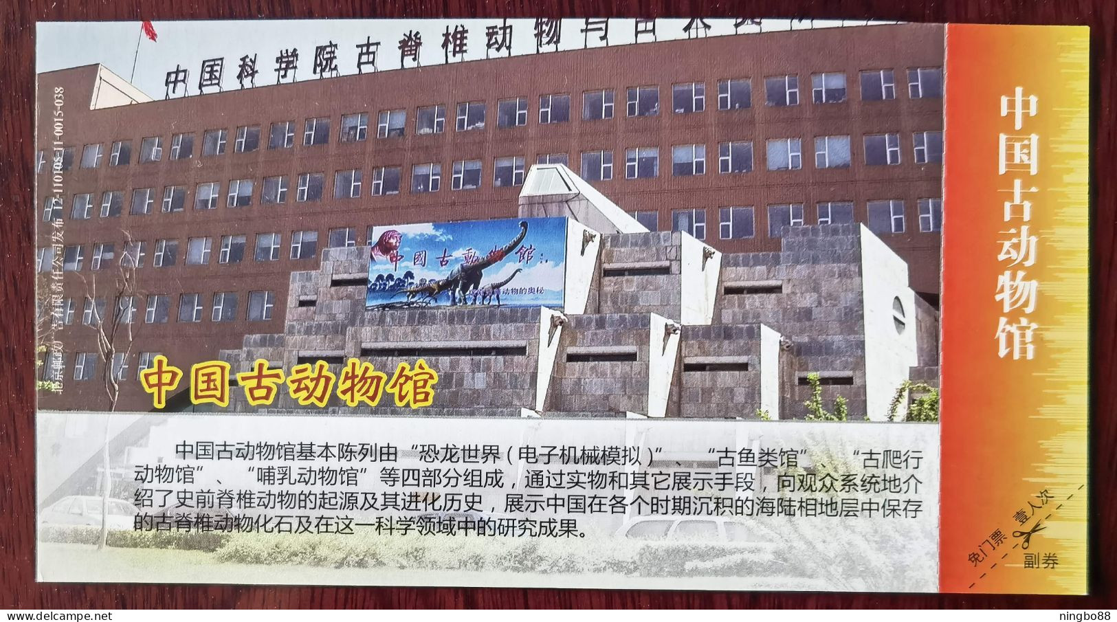 Dinosaur,CN 12 Chinese Sciences Academy Vertebrate Paleontology Paleoanthropology Institute Paleontological Museum PSC - Fossiles