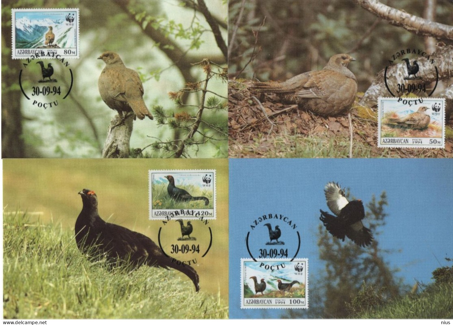 Azerbaijan 1994 Maximum Cards Set X4 WWF W. W. F. Bird Birds Fauna Caucasian Grouse - Maximum Cards