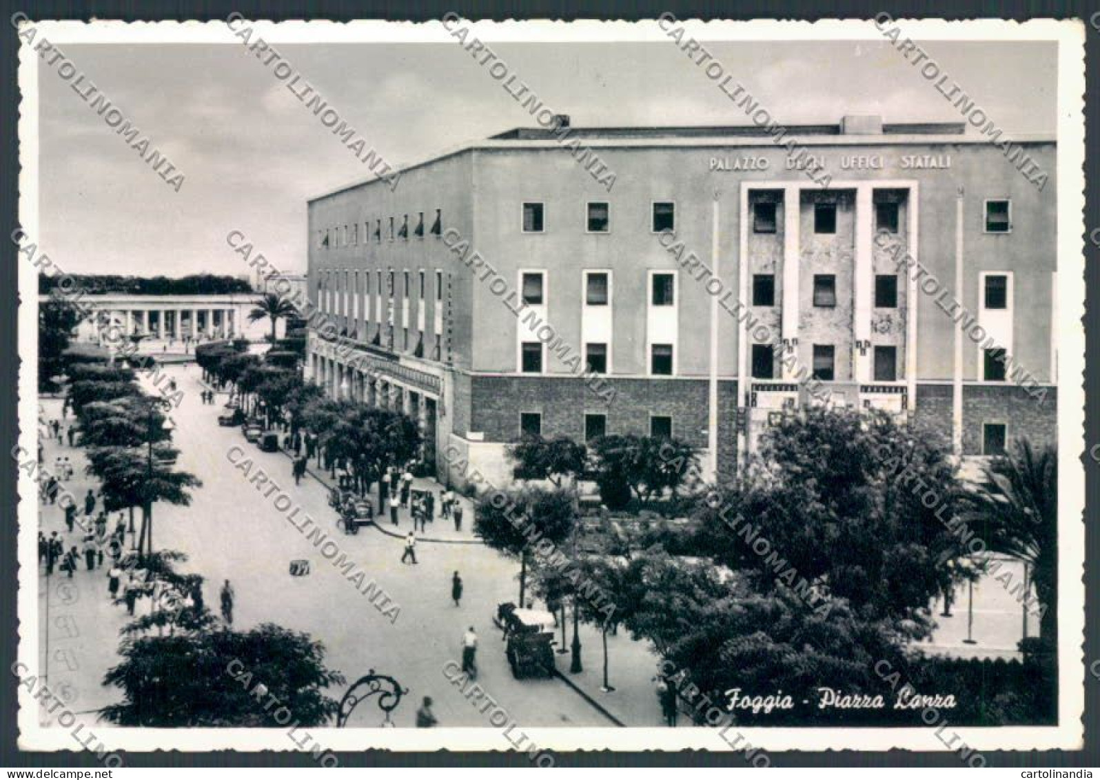 Foggia Città Piazza Lanza Foto FG Cartolina ZF6680 - Foggia