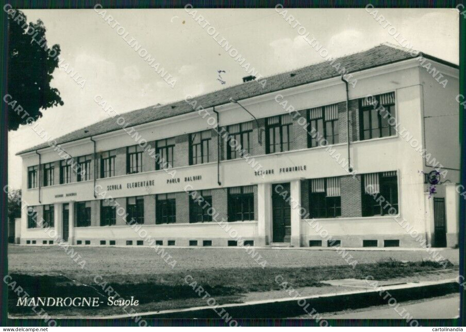 Alessandria Mandrogne Scuole PIEGA Foto FG Cartolina ZK4598 - Alessandria