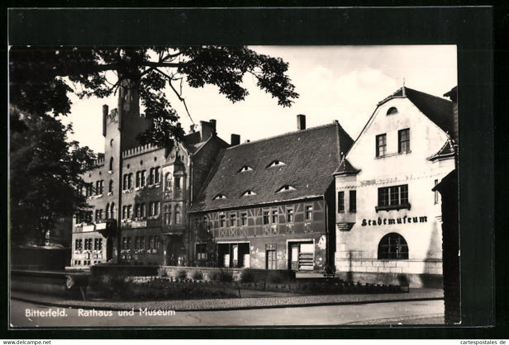AK Bitterfeld, Rathaus Und Museum  - Bitterfeld