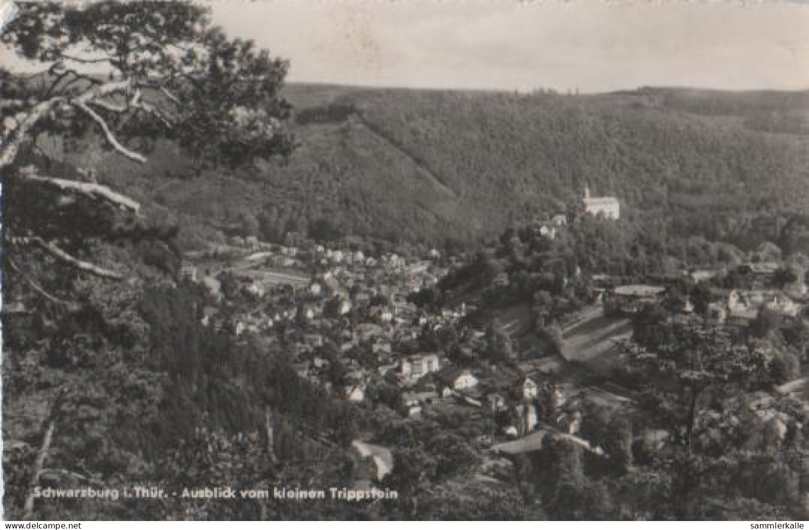 13596 - Schwarzburg Vom Trippstein - 1960 - Saalfeld