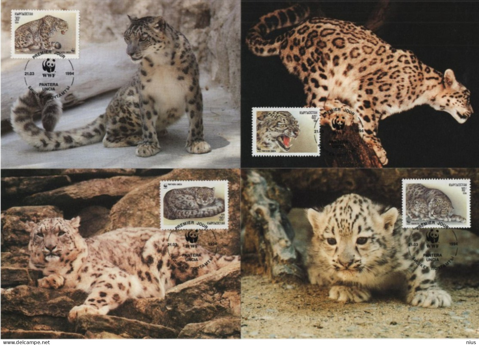 Kyrgyzstan 1994 WWF W. W. F. Panthera Uncia Snow Leopard Schneeleopard - Maximum Cards