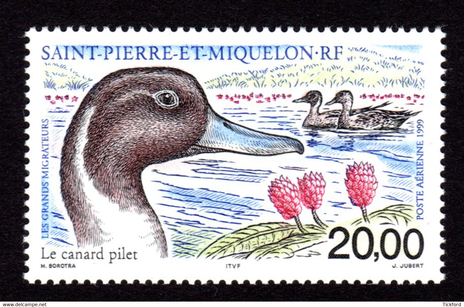 S.P.M. 1999 - PA  Yvert N° 79 -  Neuf **/ MNH - Oiseaux Migrateurs, Birds - Neufs