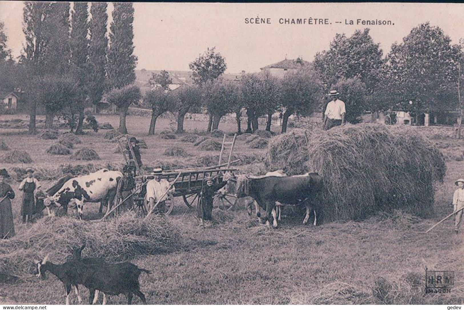 France, Types Et Scènes Champêtres, La Fenaison, Attelages De Boeufs, Récolte Du Foin (1.6.1908) - Teams