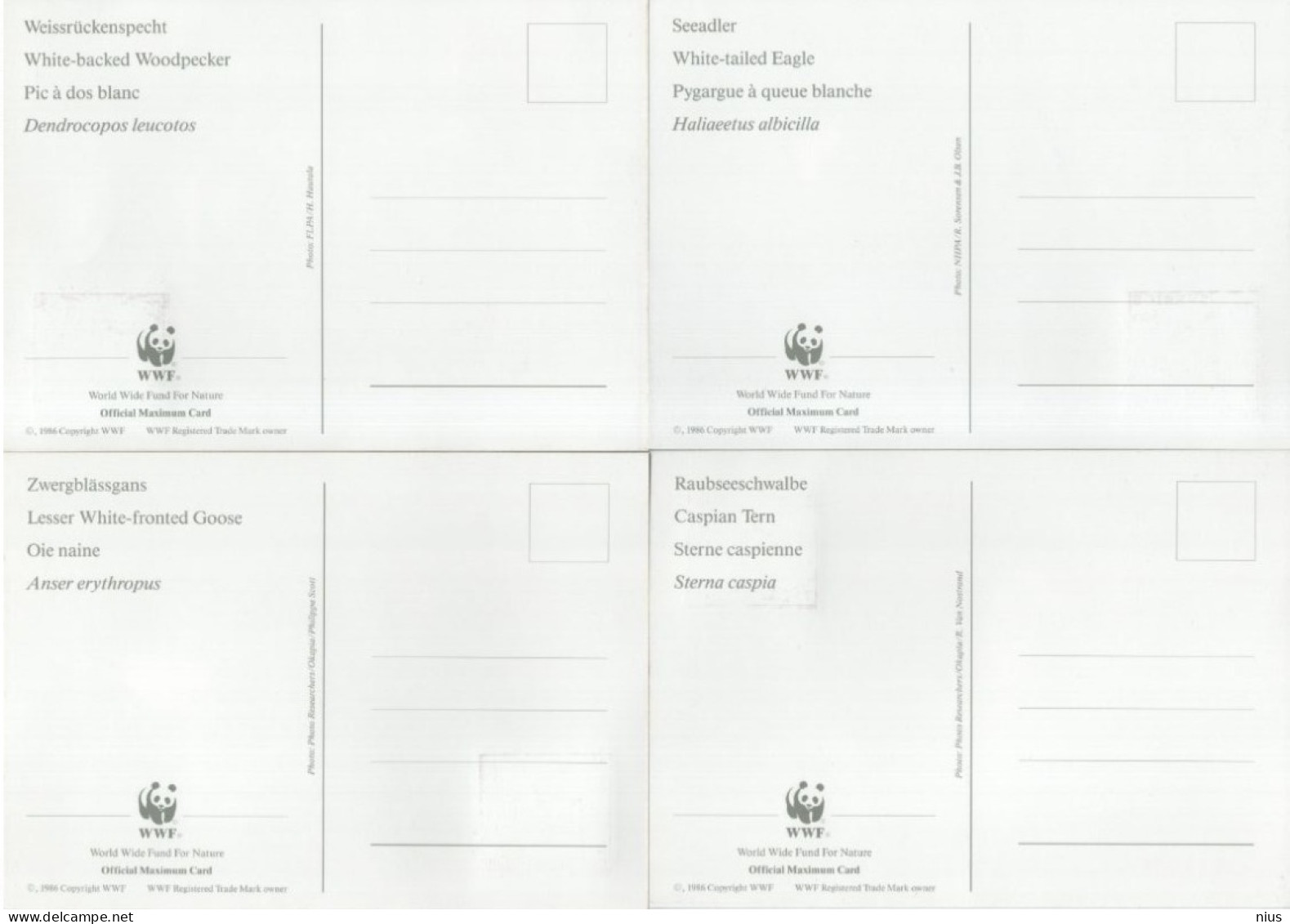 Sweden 1994 WWF W.W.F. Maximum Cards Bird Set X4 Birds Fauna Sverige - Tarjetas – Máxima