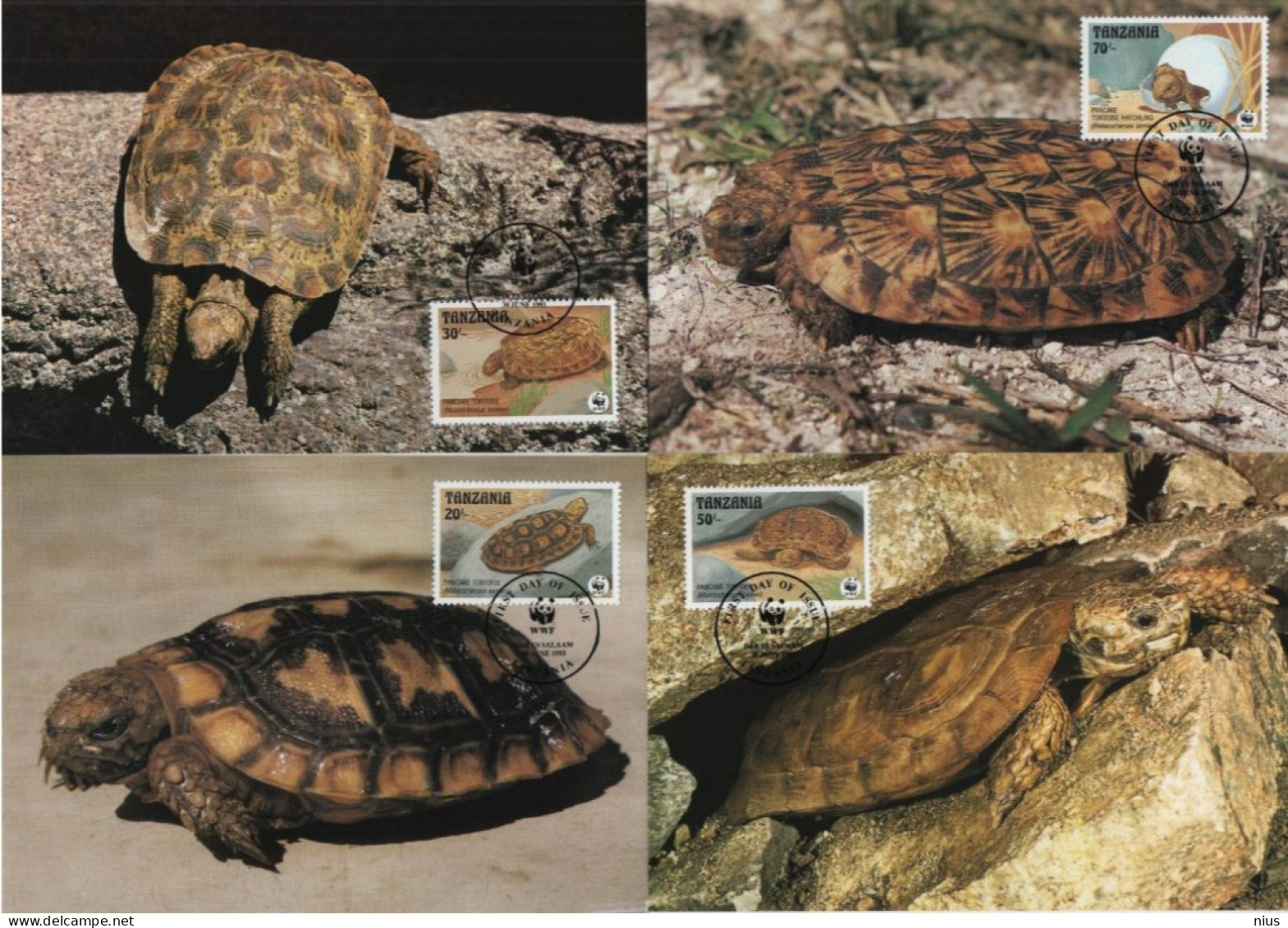 Tanzania 1993 WWF W.W.F. Maximum Cards Set X4, Pancake Tortoise Fauna Spaltenschildkröte - Maximum Cards