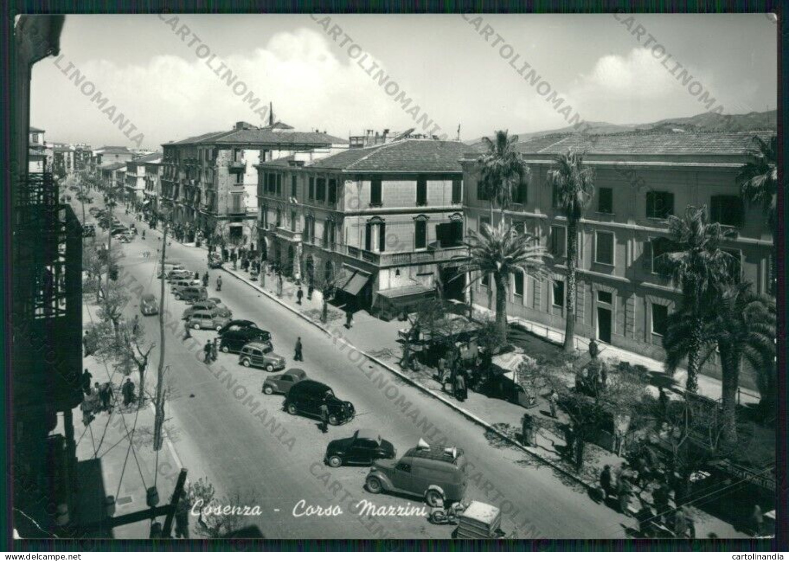 Cosenza Città PIEGHINE Auto Foto FG Cartolina ZK1707 - Cosenza