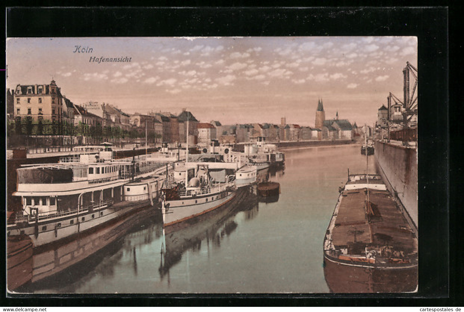 AK Köln, Partie Am Hafen  - Koeln